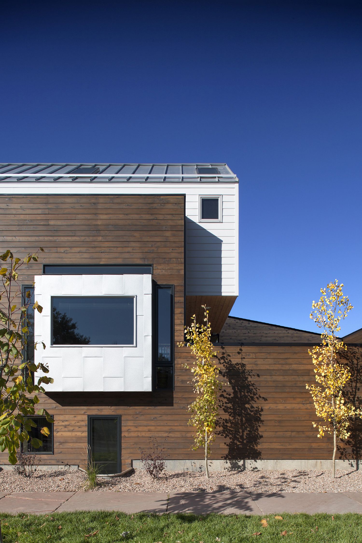 Western Red Cedar exterior of the modern house