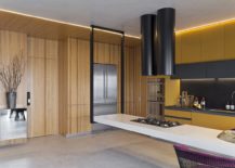 Curated-wall-of-Tauari-wood-adds-warmth-to-the-polished-contemporary-kitchen-217x155