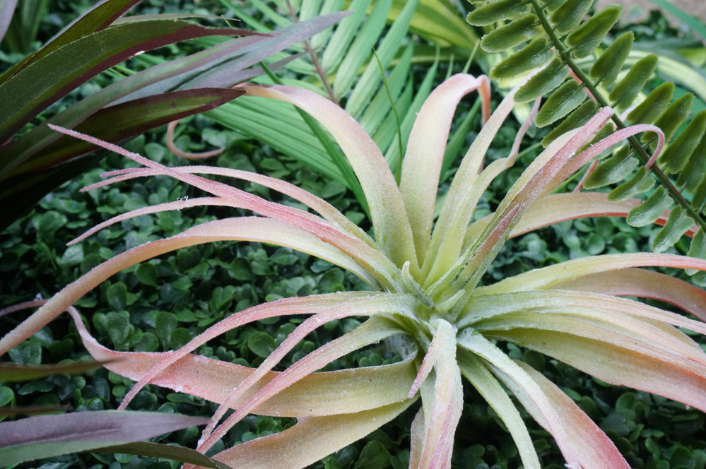 Details from a faux living wall