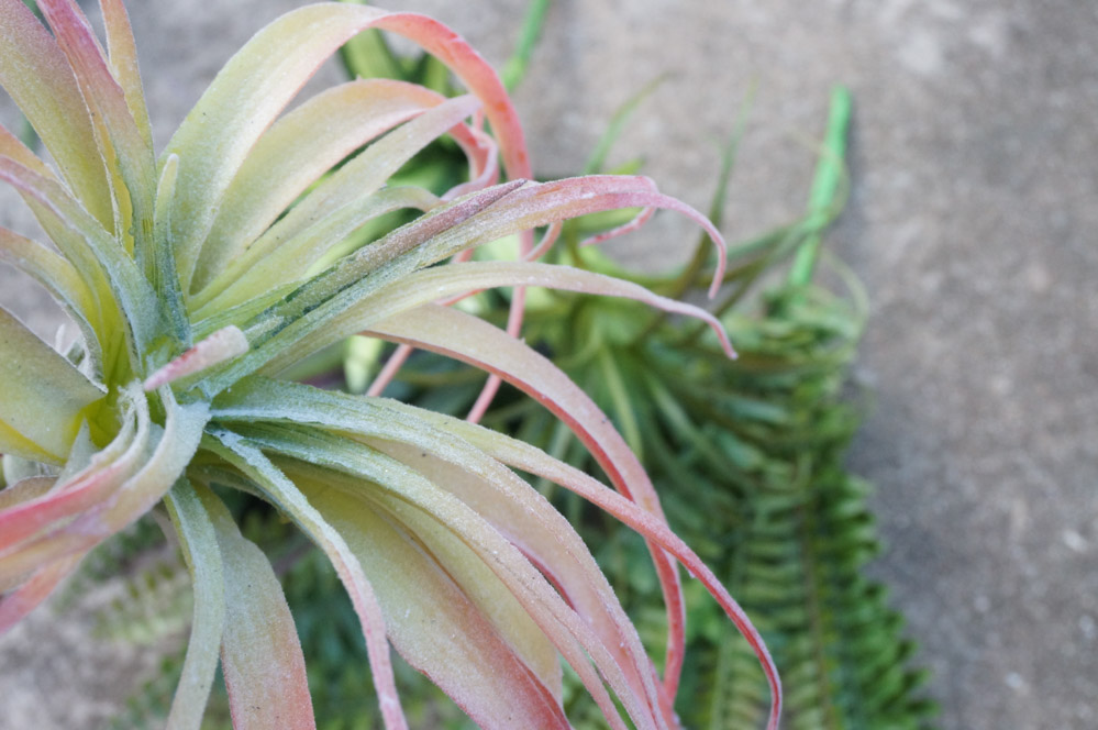 Faux air plant style