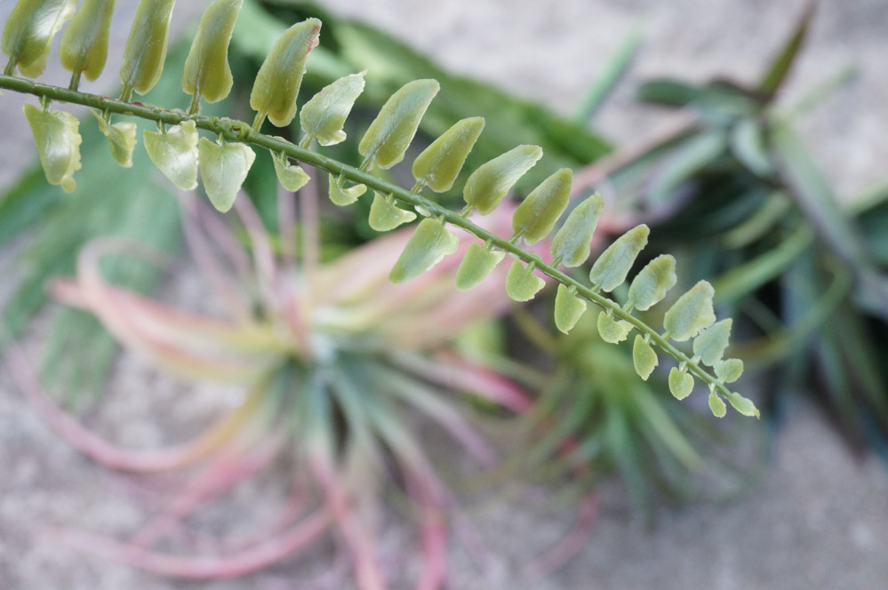 Faux fern frond