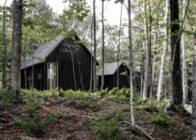 Gorgeous-dark-exterior-of-the-Canadian-cabin-in-forest-217x155
