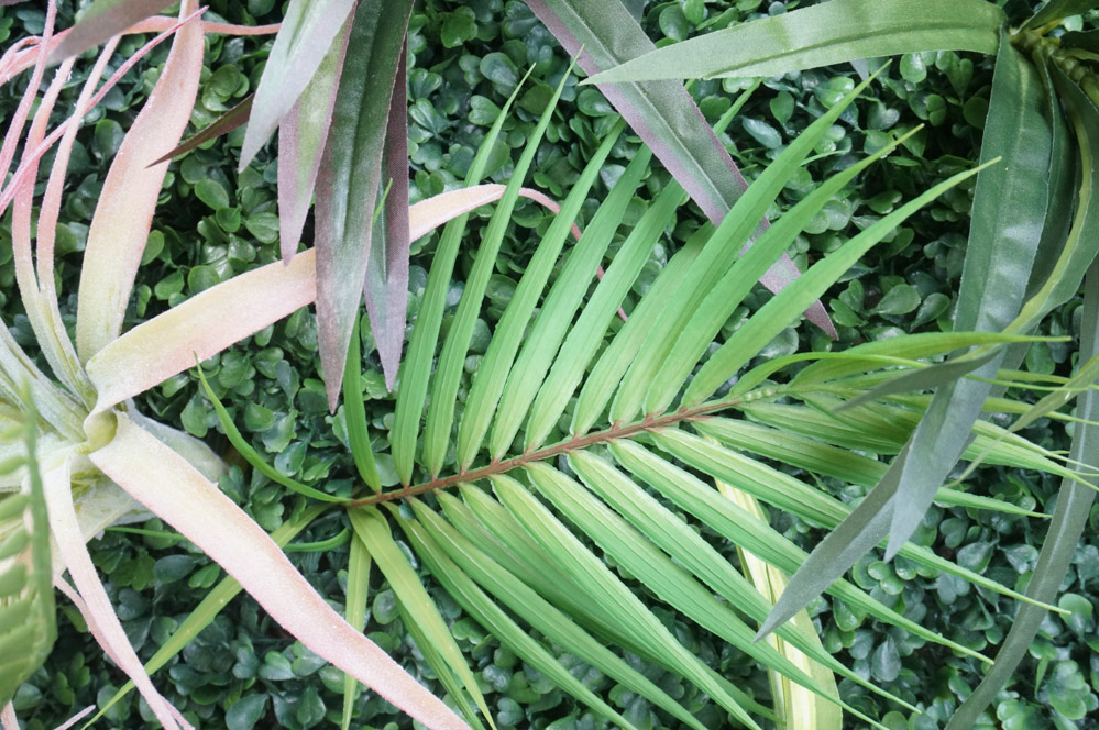 Palm-frond-on-a-faux-living-wall