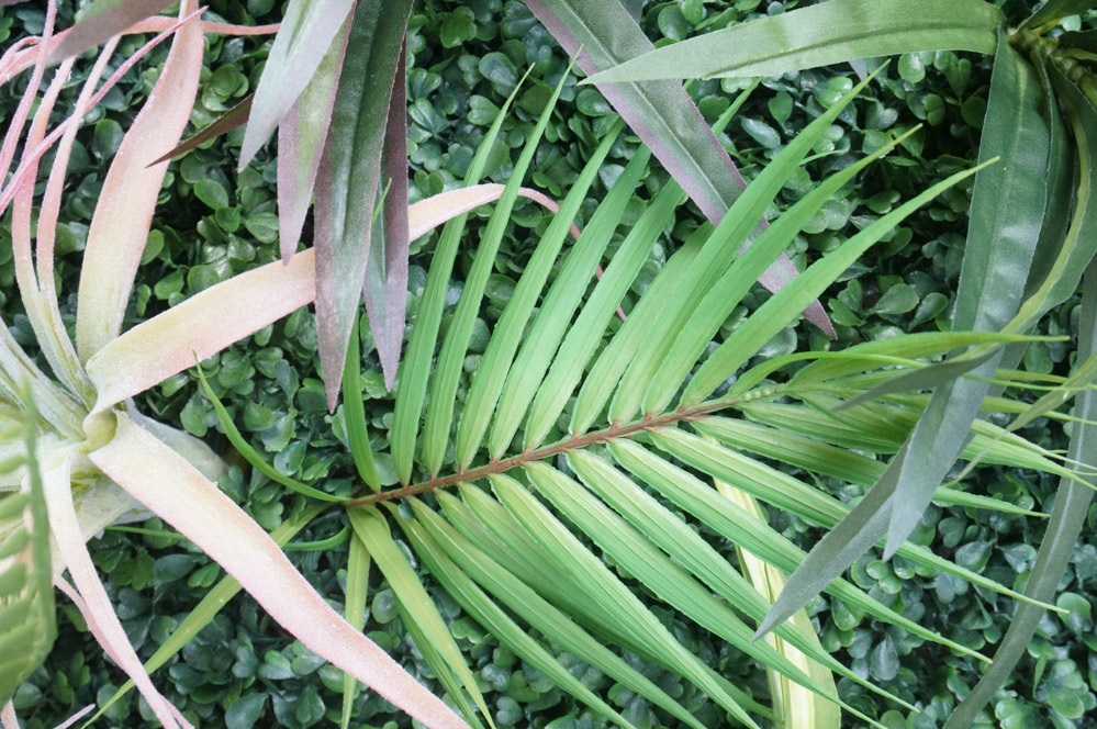 Palm frond on a faux living wall