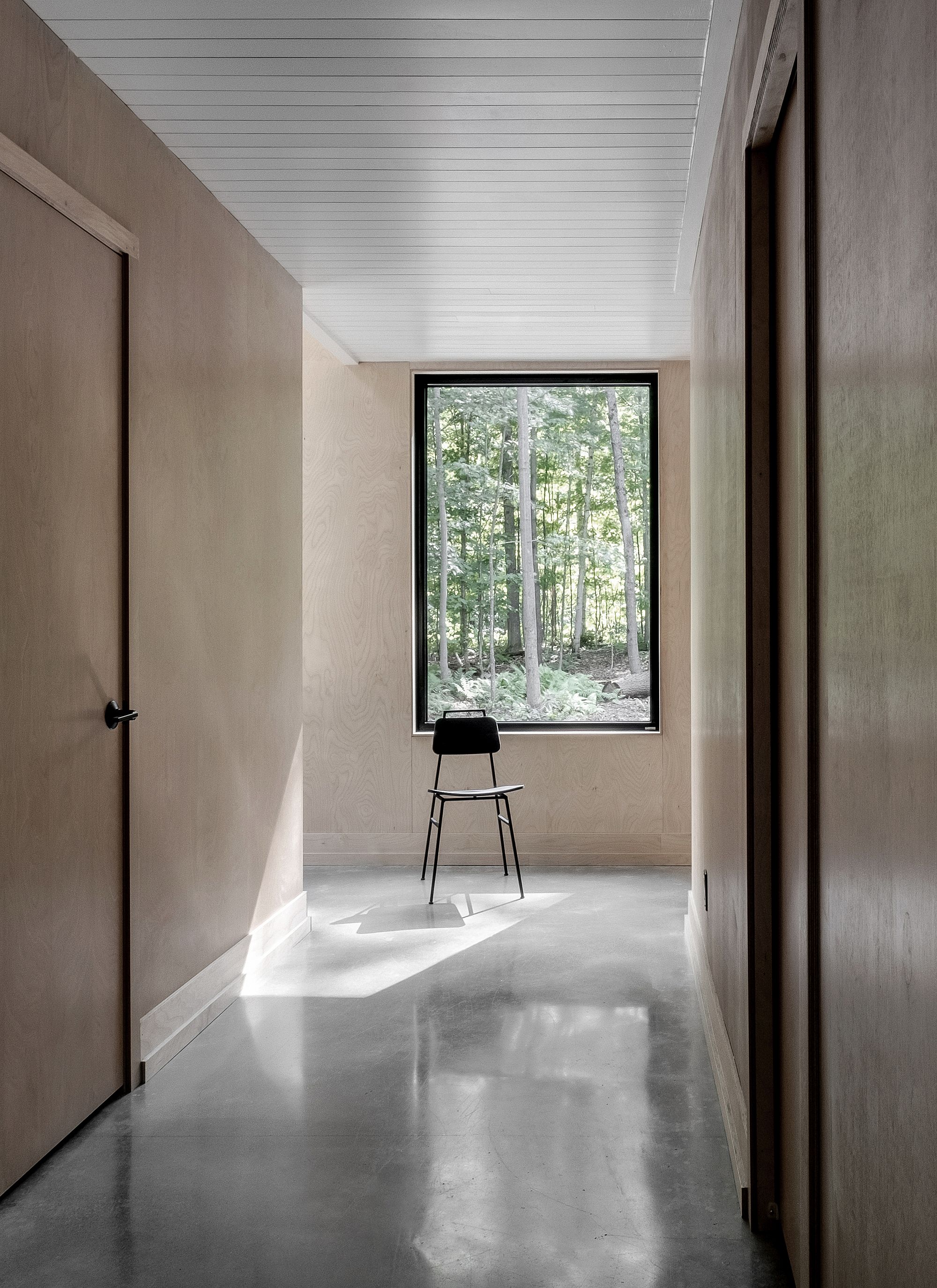 Sleek surfaces and Russian plywood shape the interior