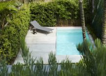 Small-pool-area-and-deck-with-greenery-all-around-217x155