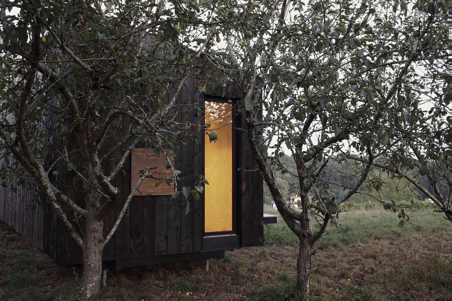 Smart wooden cabin can be moved around with ease