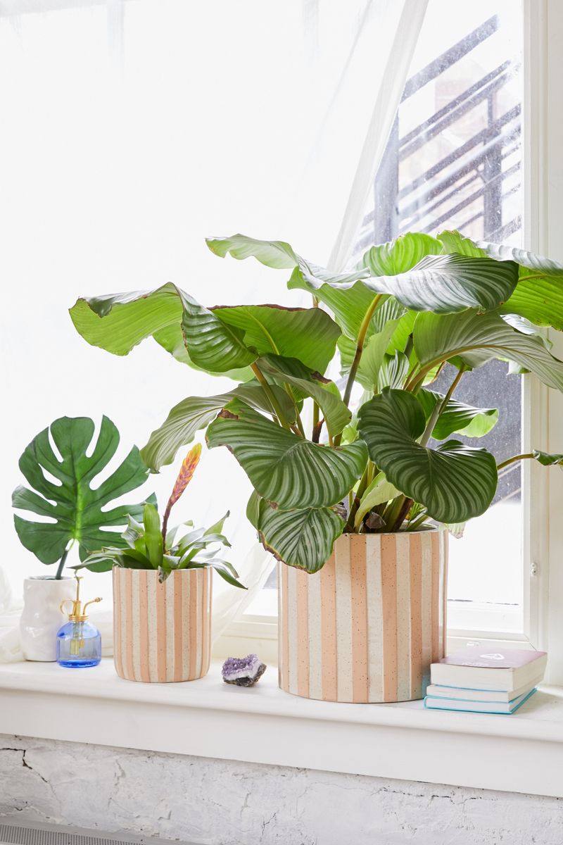 Striped planters from Urban Outfitters