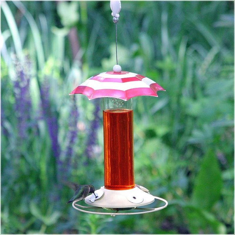 Awesome Hummingbird Feeder that you can draw ample inspiration from