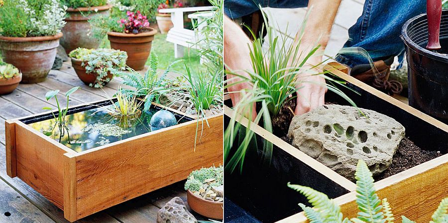 Create your own easy pond in a box for the tiny backyard