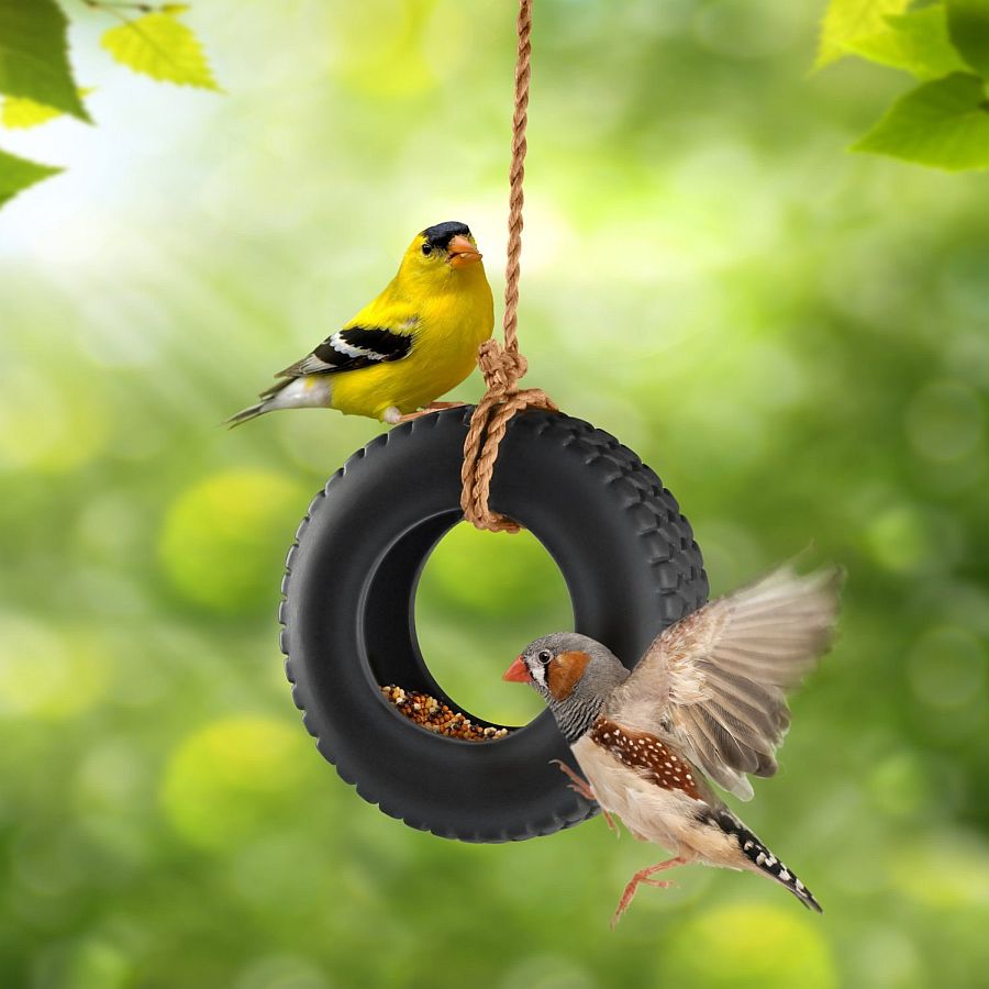 Create your own tire swing bird feeder this summer!