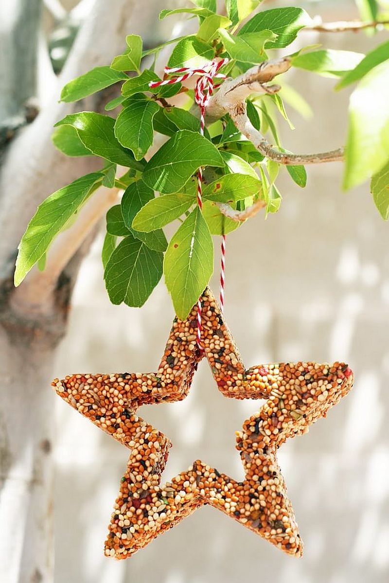 Custom star-shaped bird feeder idea for the trendy garden