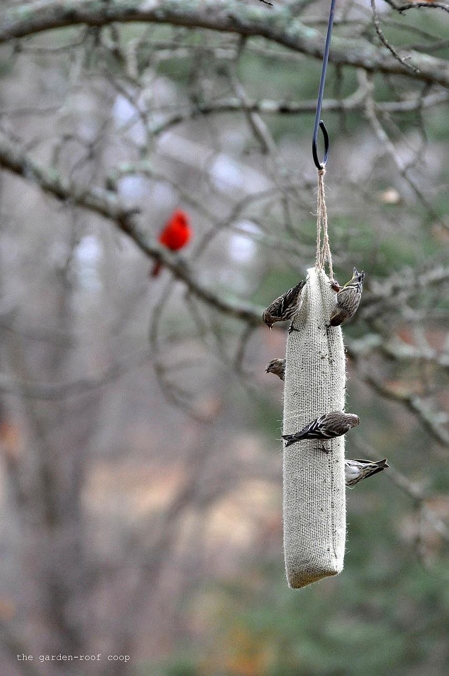 DIY-Burlap-Thistle-Sock-bird-feeder