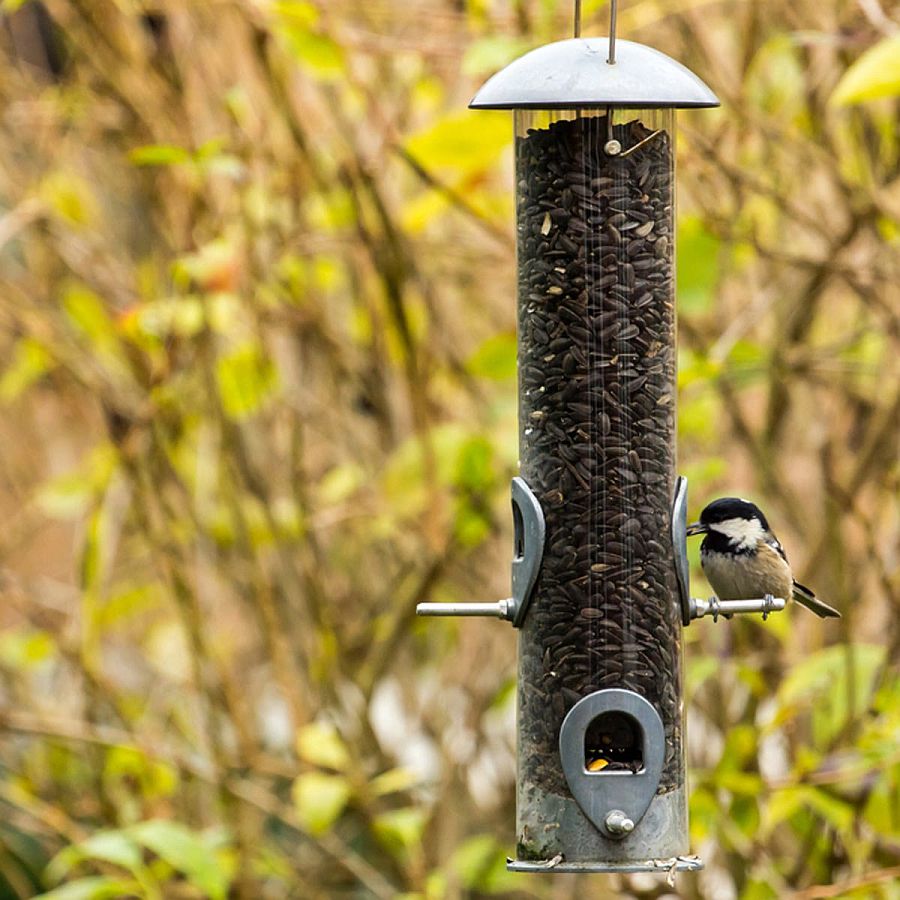 DIY Tube-style bird feeder from Family Handyman