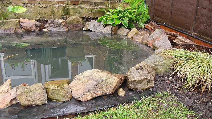 Garden fish pond DIY with stones and greenery all around