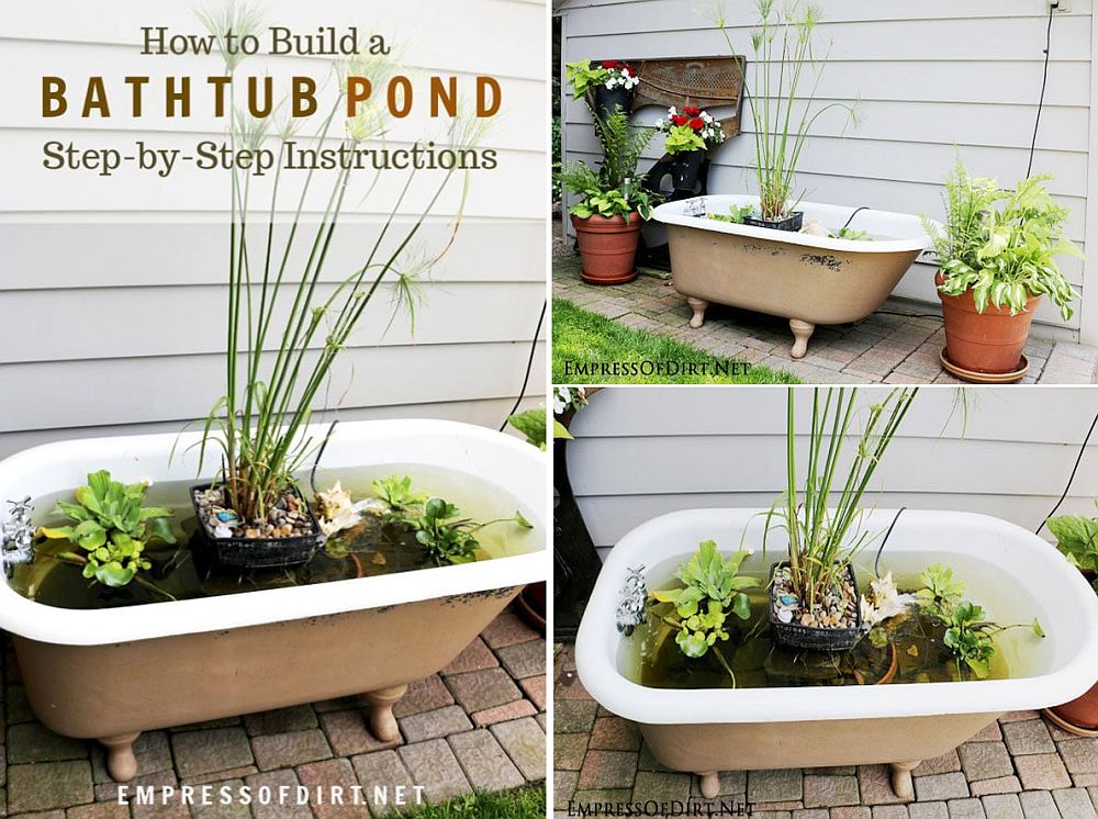 Gorgeous DIY bathtub pond for the tiny urban garden