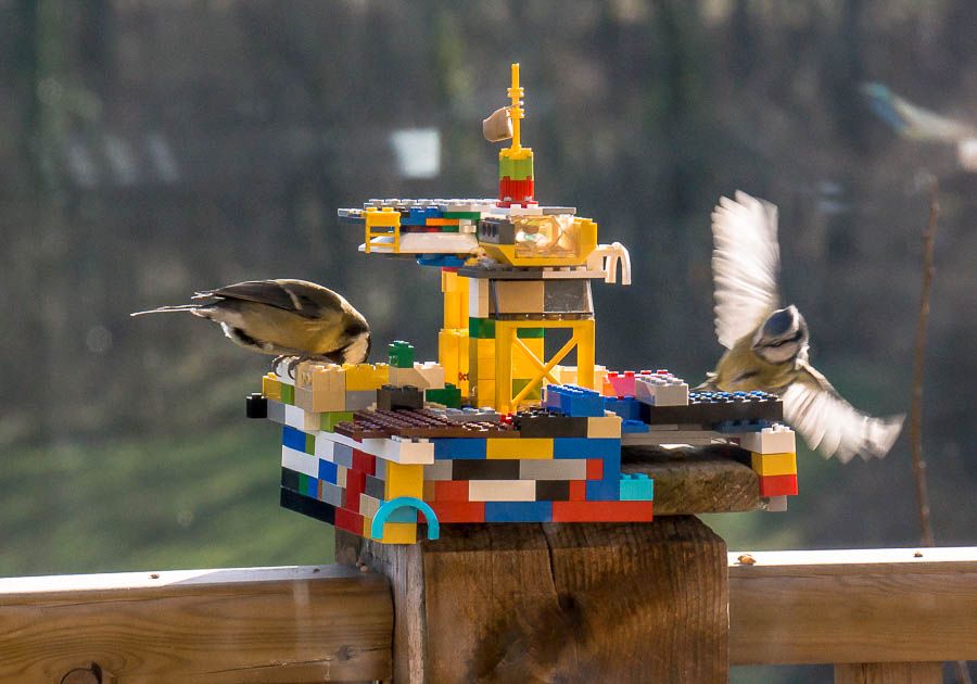 LEGO bird feeder lets your imagination take flight with new wings