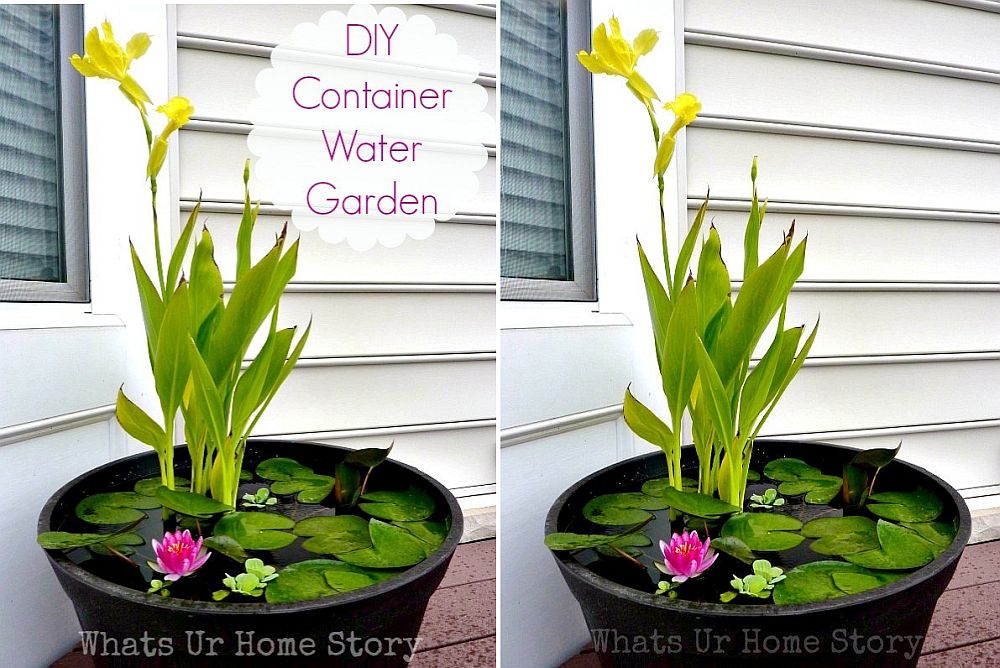 Mini DIY water garden for those who just cannot have a full pond