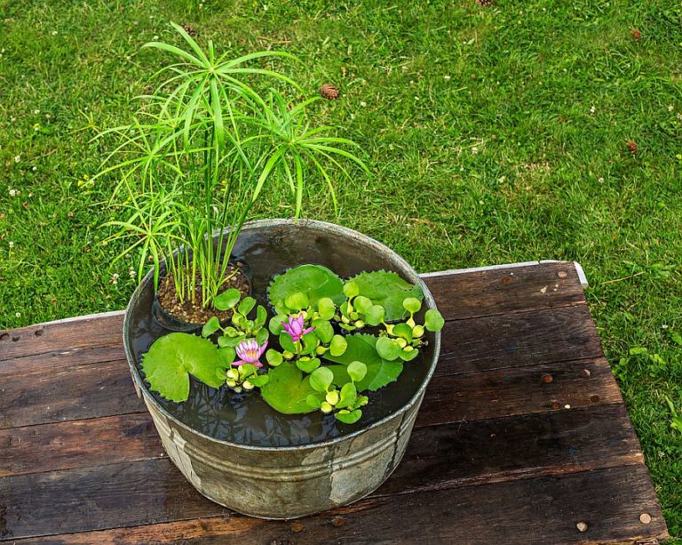 25 DIY Water Features for Your Garden Decoist