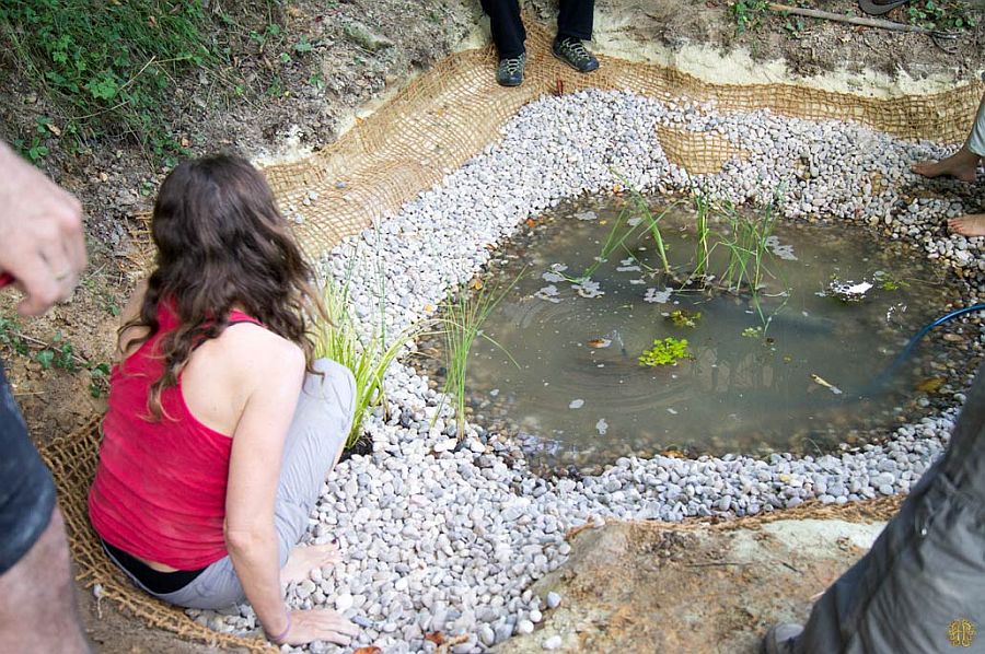 25 Cheap DIY Ponds to Bring Life to Your Garden