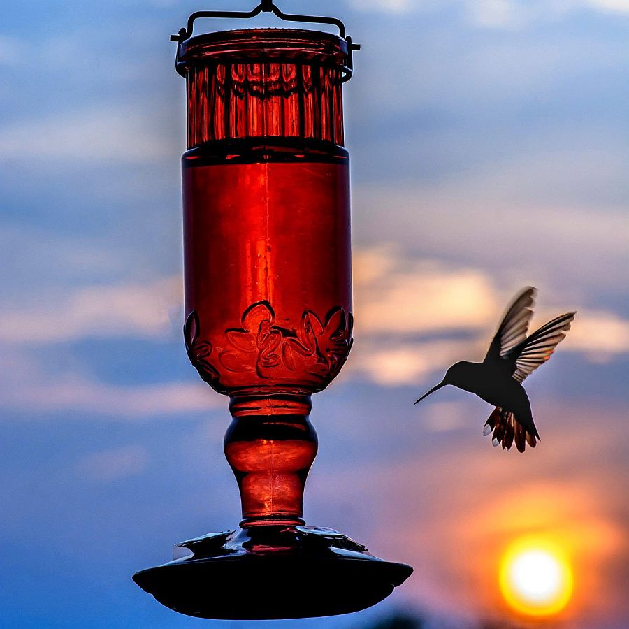 Old wine bottle turned into a beautiful bird feeder you will love