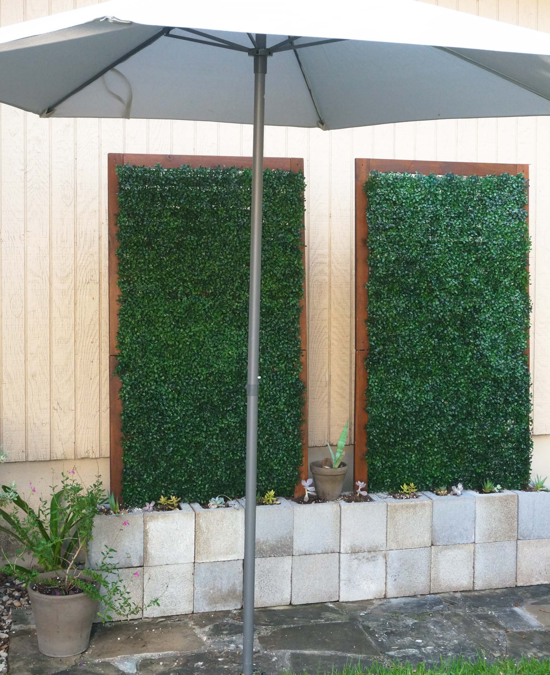 Outdoor trellises with boxwood vines