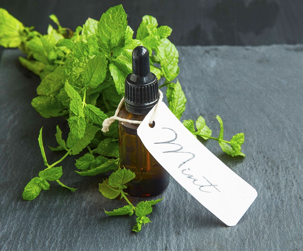 Peppermint fragrance oil can be turned into a spray that kills ants