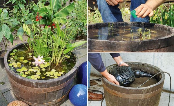 25 Cheap DIY Pond Ideas on a Budget: Homemade Ponds for Your Backyard ...