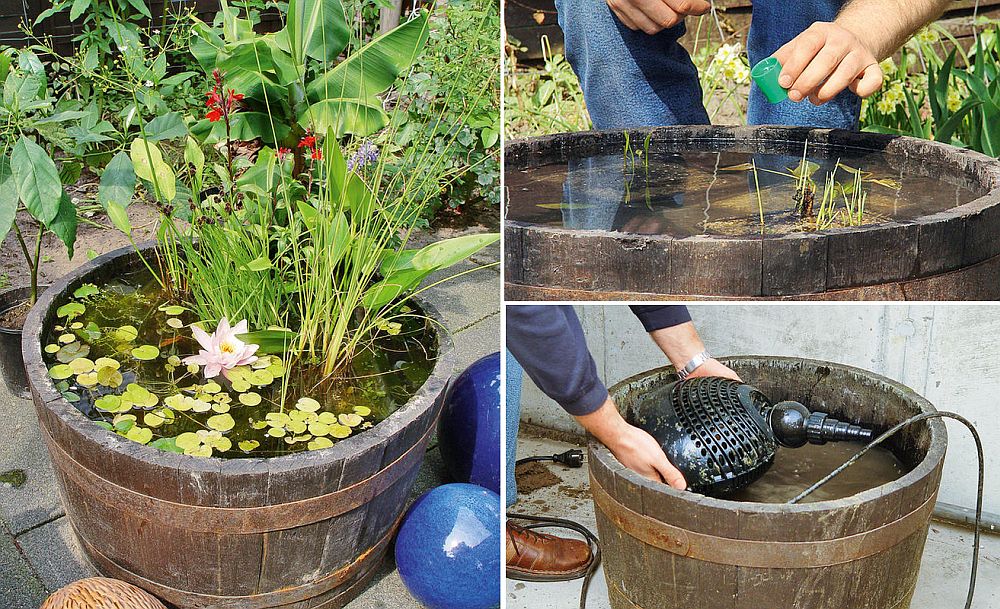 Pond-in-a-barrel-is-an-idea-that-you-will-absolutely-love