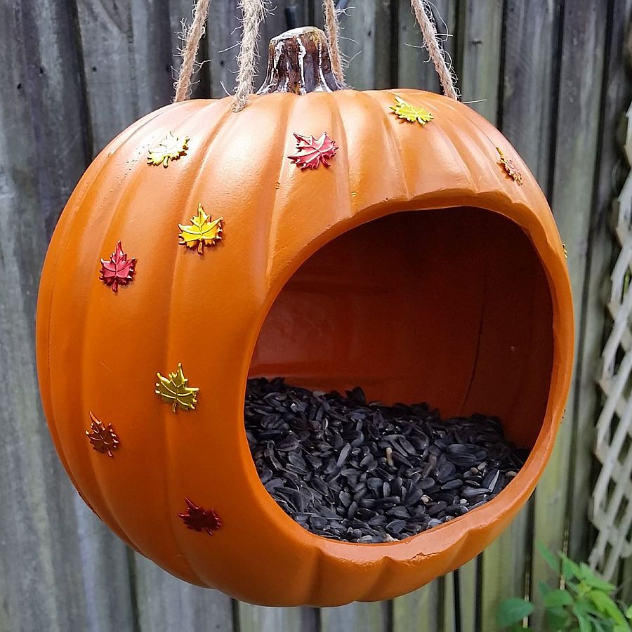 Pumpkin shaped DIY bird feeder is perfect for festive season