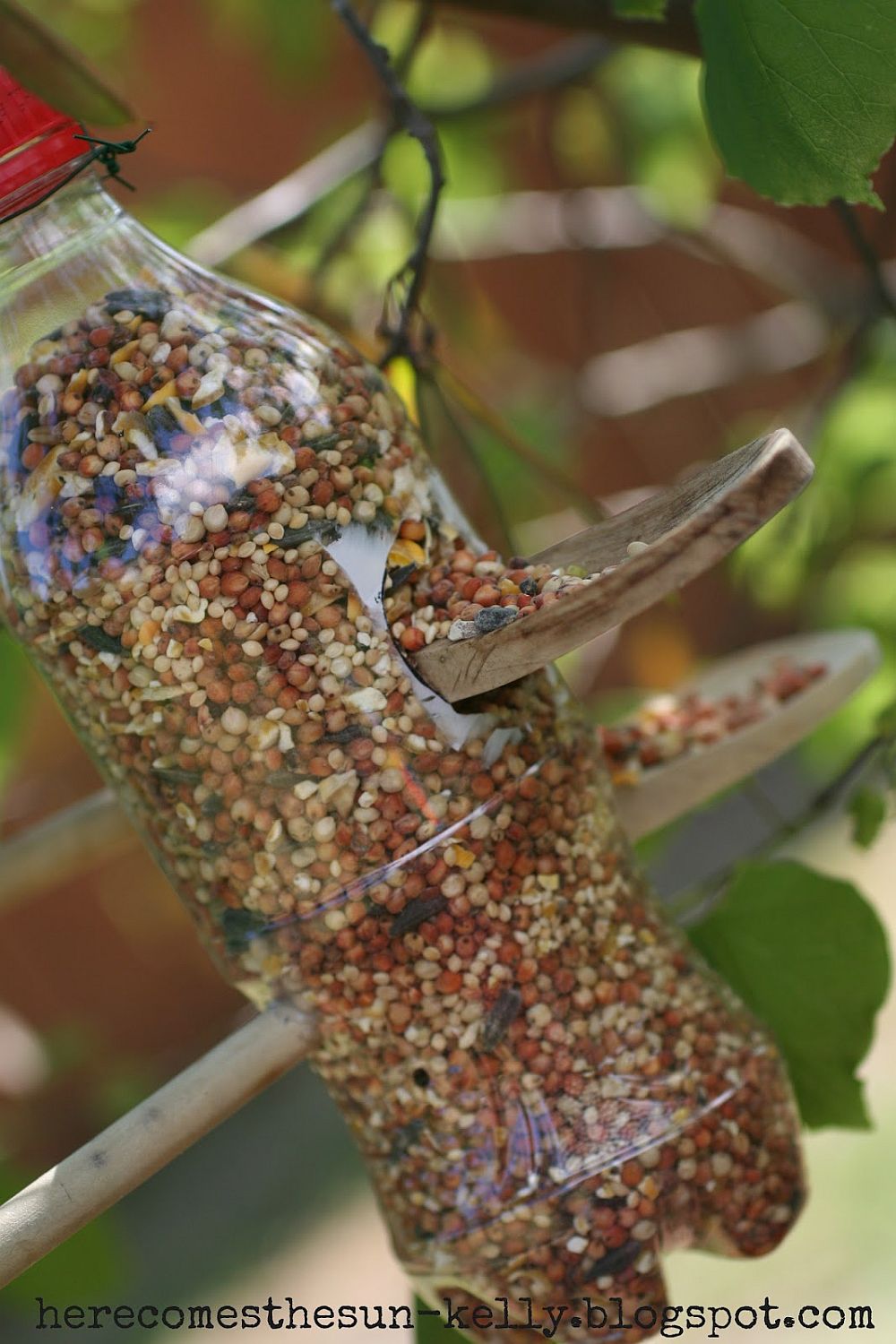 Soda-bottle-bird-feeder-takes-little-time-to-craft