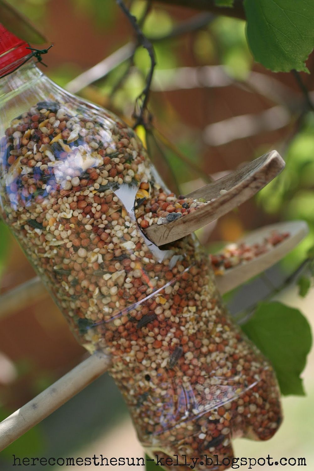 Soda bottle bird feeder takes little time to craft