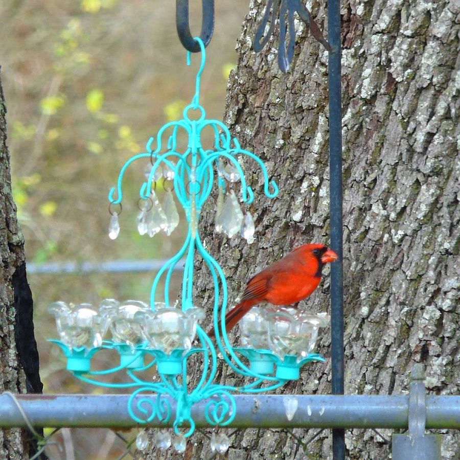 Stylish and chic Chandelier bird feeder DIY