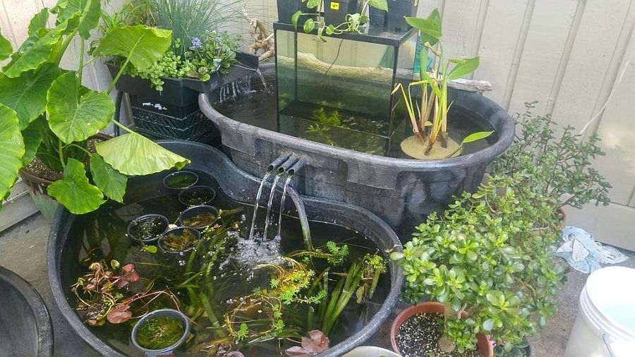 Use-those-old-tubs-to-build-cool-and-small-garden-ponds-with-fish