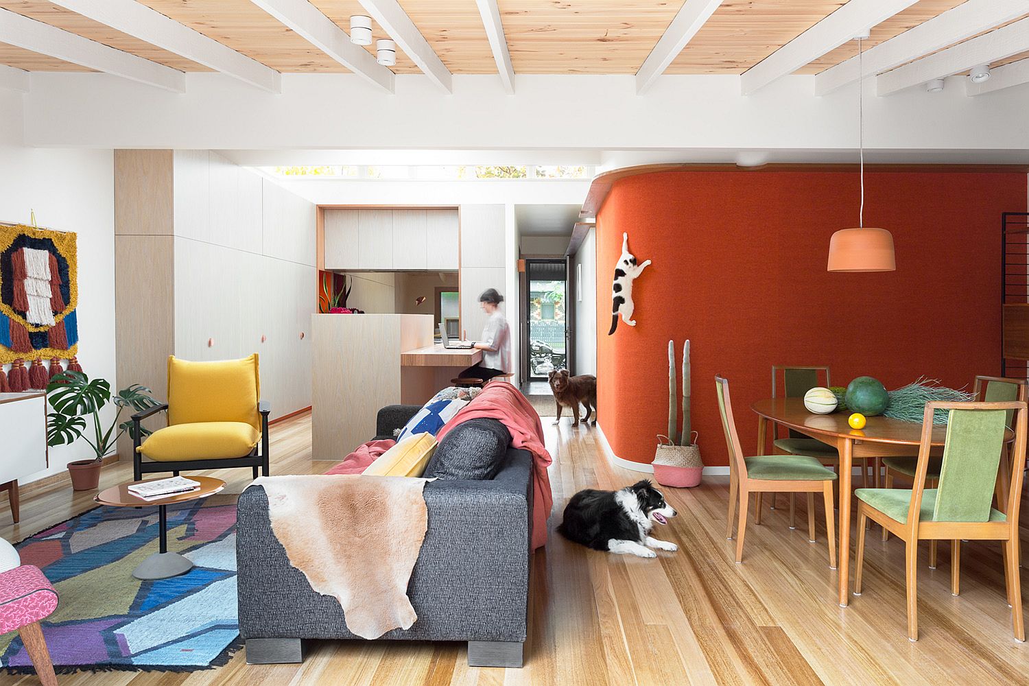Vibrant and energizing interior of Casa de Gatos in Melbourne