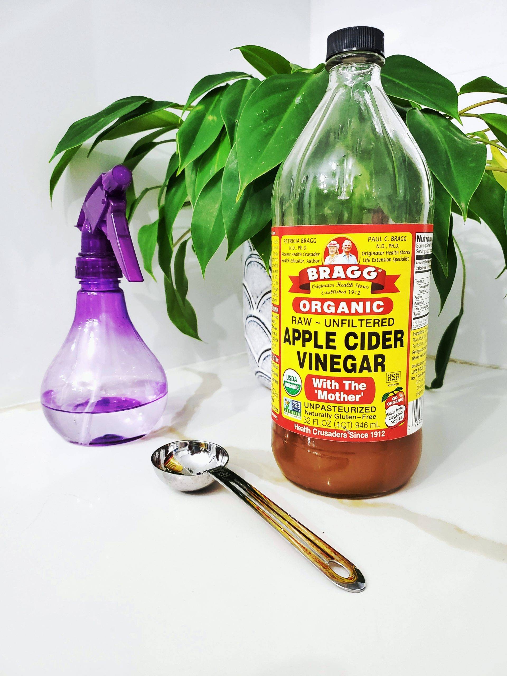 apple cider vinegar with teaspoon and spray bottle