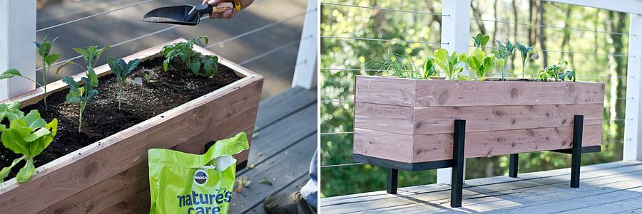 Be it salad or veggies this DIY planter works everywhere