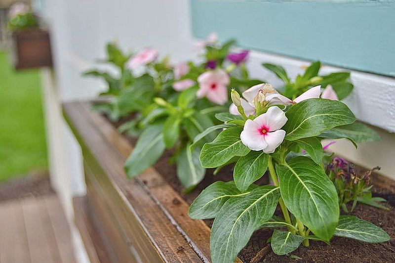 Beautiful and easy window box planter idea