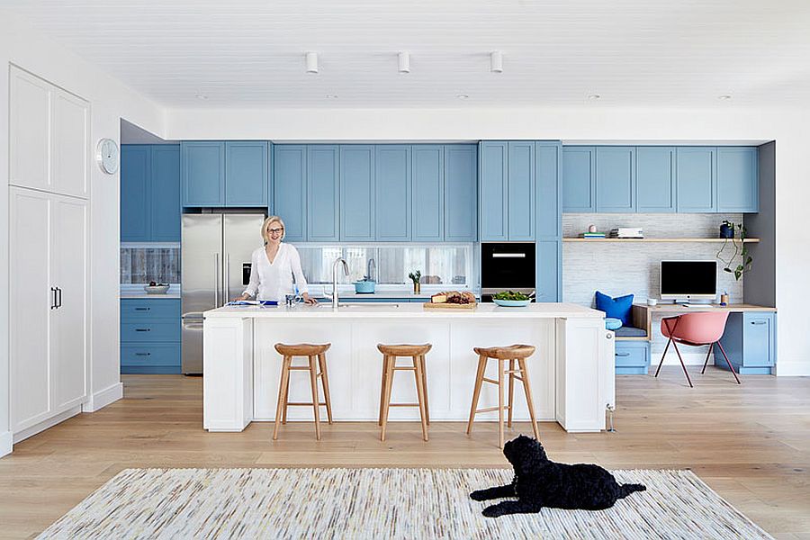 Contemporary kitchen in white blue cabinets in the backdrop