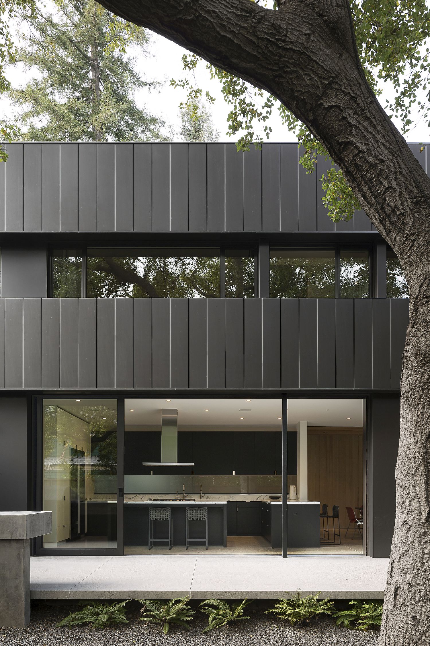 Dark-facade-of-the-house-clad-in-zinc-frame