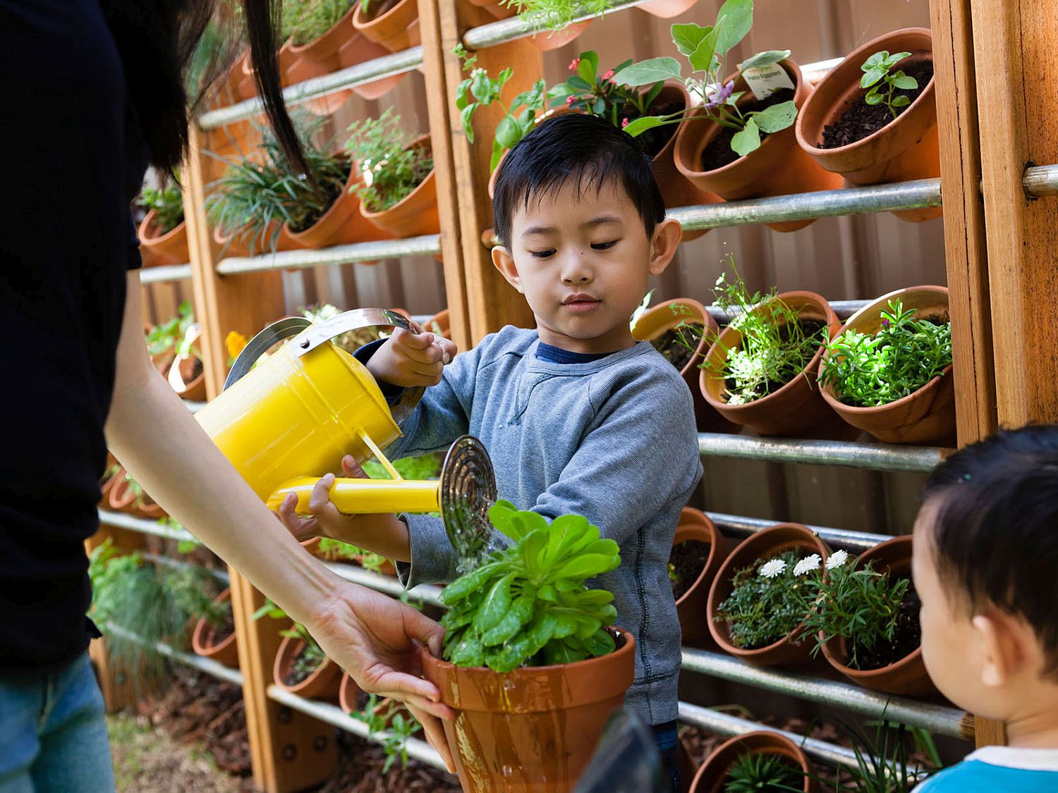 Entire family tends to the innovative herb garden