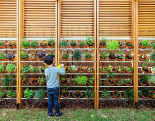 Sliding Doors and an Immaculate Herb Garden Transform this Aging Californian Bungalow