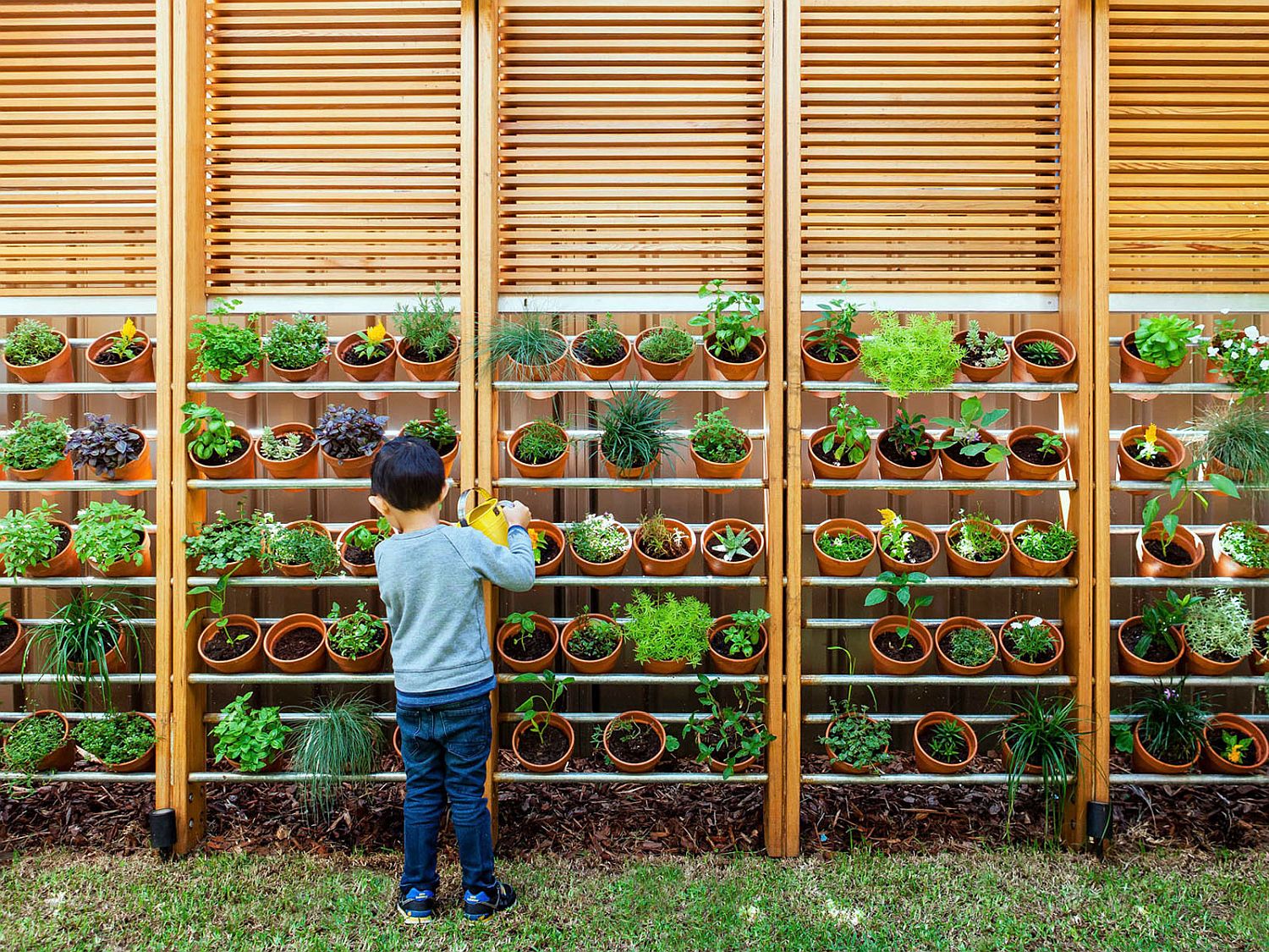 Gorgeous herb and vegetable garden steals the show in the backyard