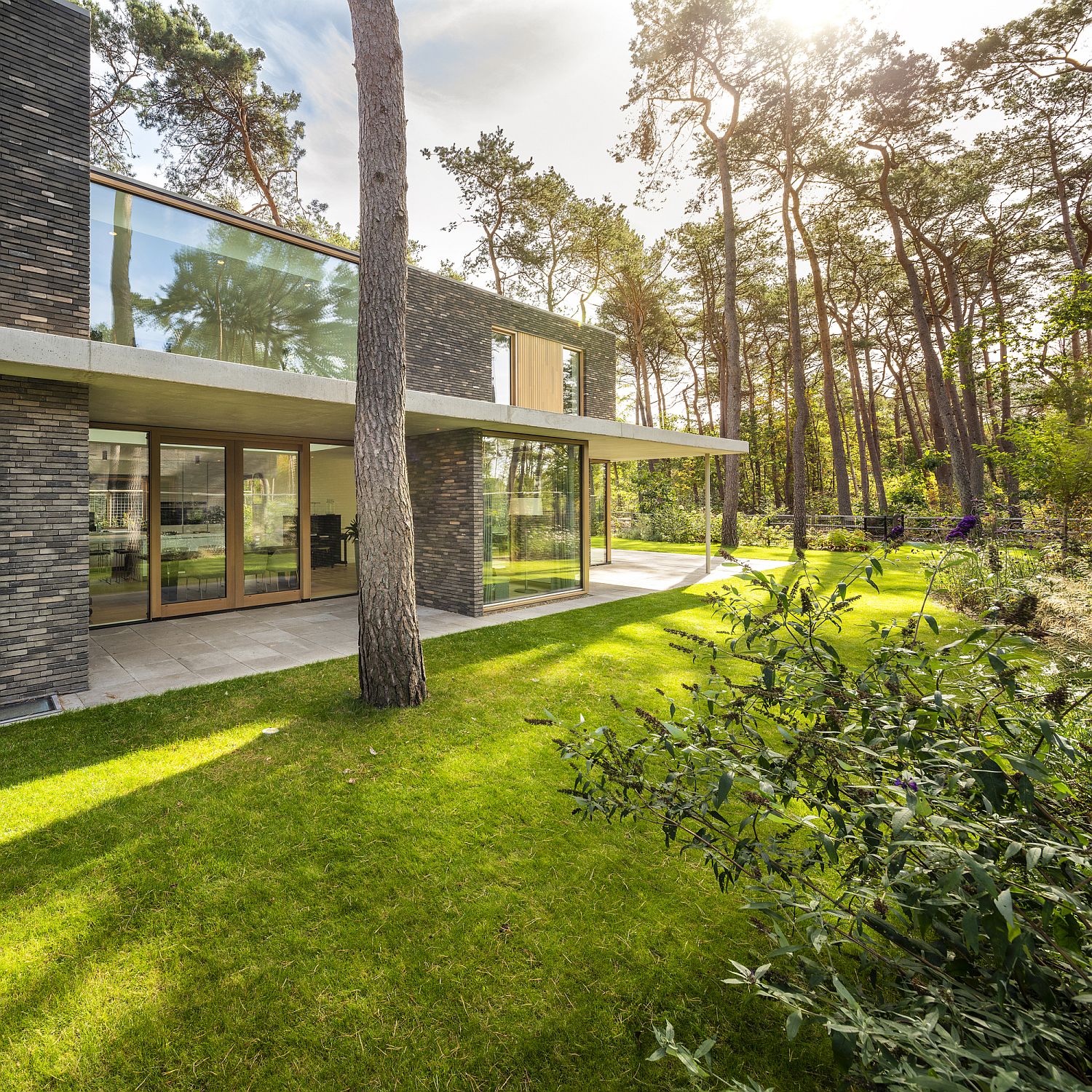 Natural canopy and green landscape offer cover to the house