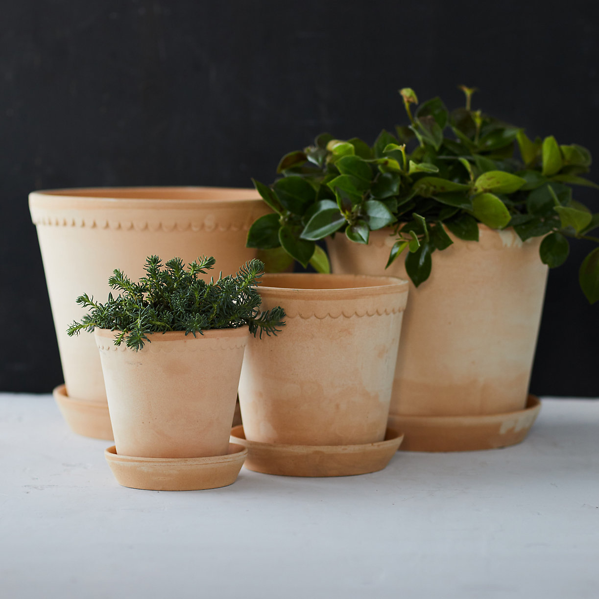 Scalloped pots from Terrain