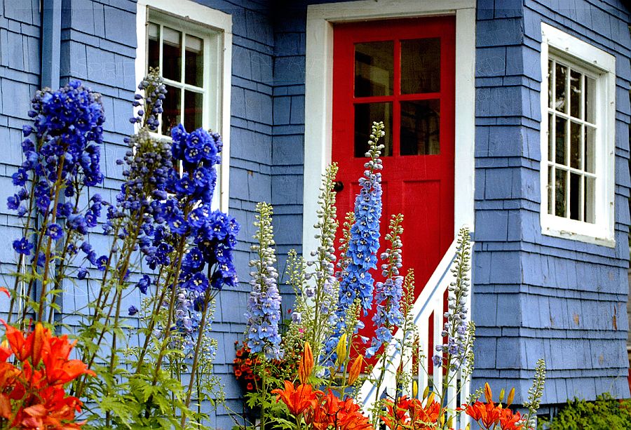 Striking-blend-of-beautiful-blues-and-violets-with-fiery-red-to-shape-a-stunning-facade