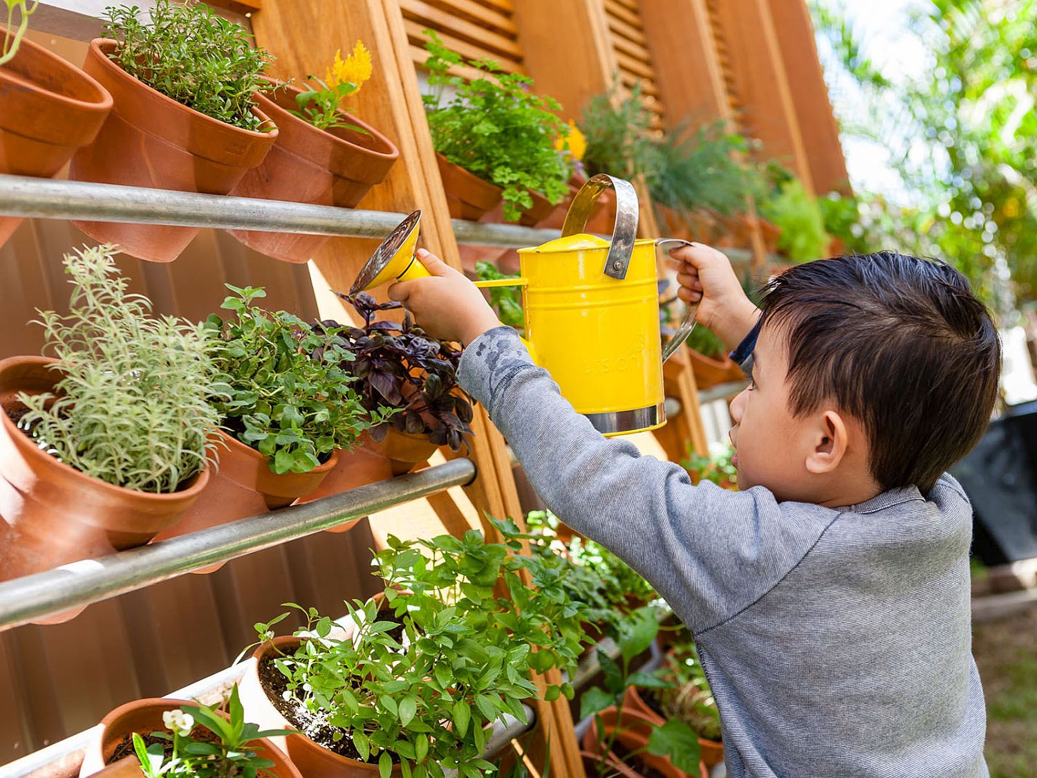 Using vertical space for a cultured herb garden