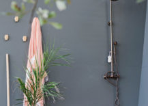 Bluish-gray-for-the-outdoor-shower-with-a-touch-of-green-217x155