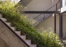 Concrete-staircase-next-to-the-green-ramps-spread-across-the-house-217x155
