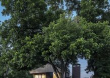 Trees-around-the-house-shapeits-facade-and-overall-appeal-217x155